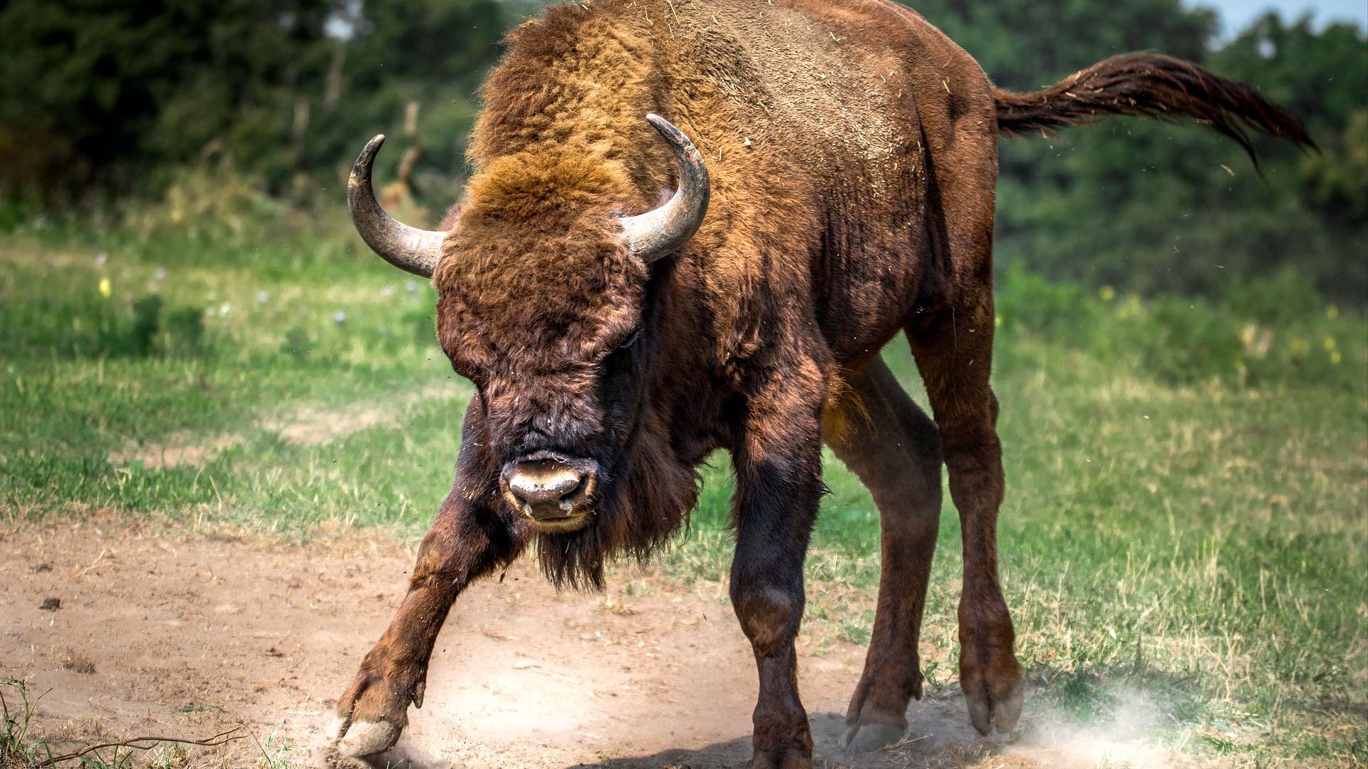 Great sign for the ecosystem: Crypto devs are as bullish as ever