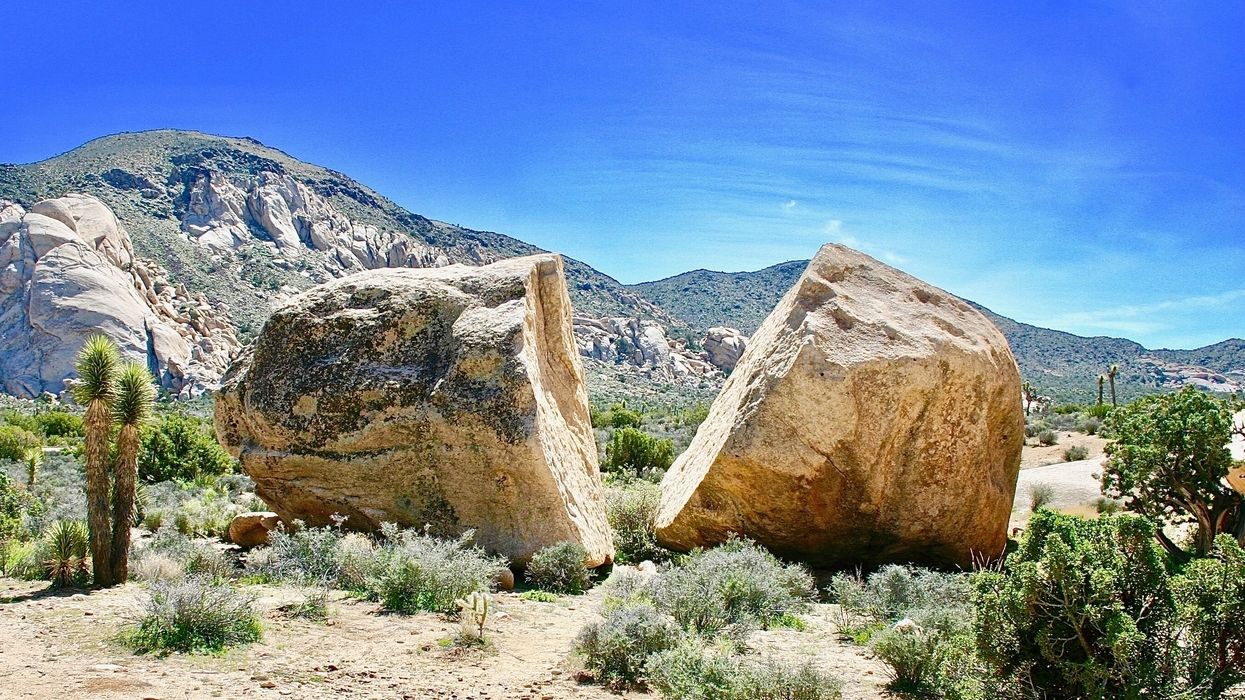 The price of Binance Coin has halved since all-time high