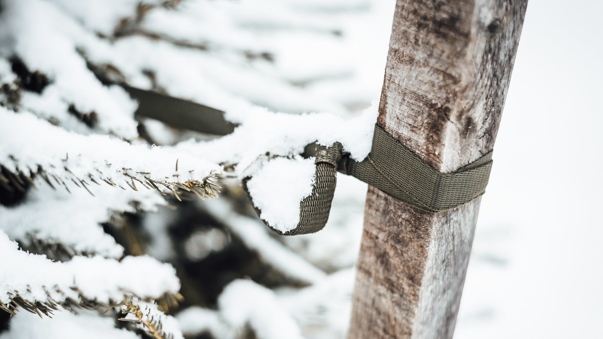 Investment firm KR1 pulls in $5.5 million from staking cryptos and DeFi