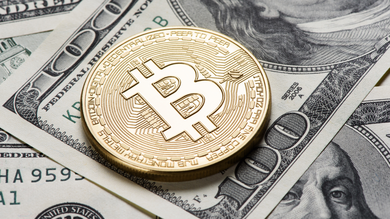 Despite markets being rattled last month, a new report from Glassnodes shows Bitcoin investors are feeling optimistic ahead of the May 12 halving.