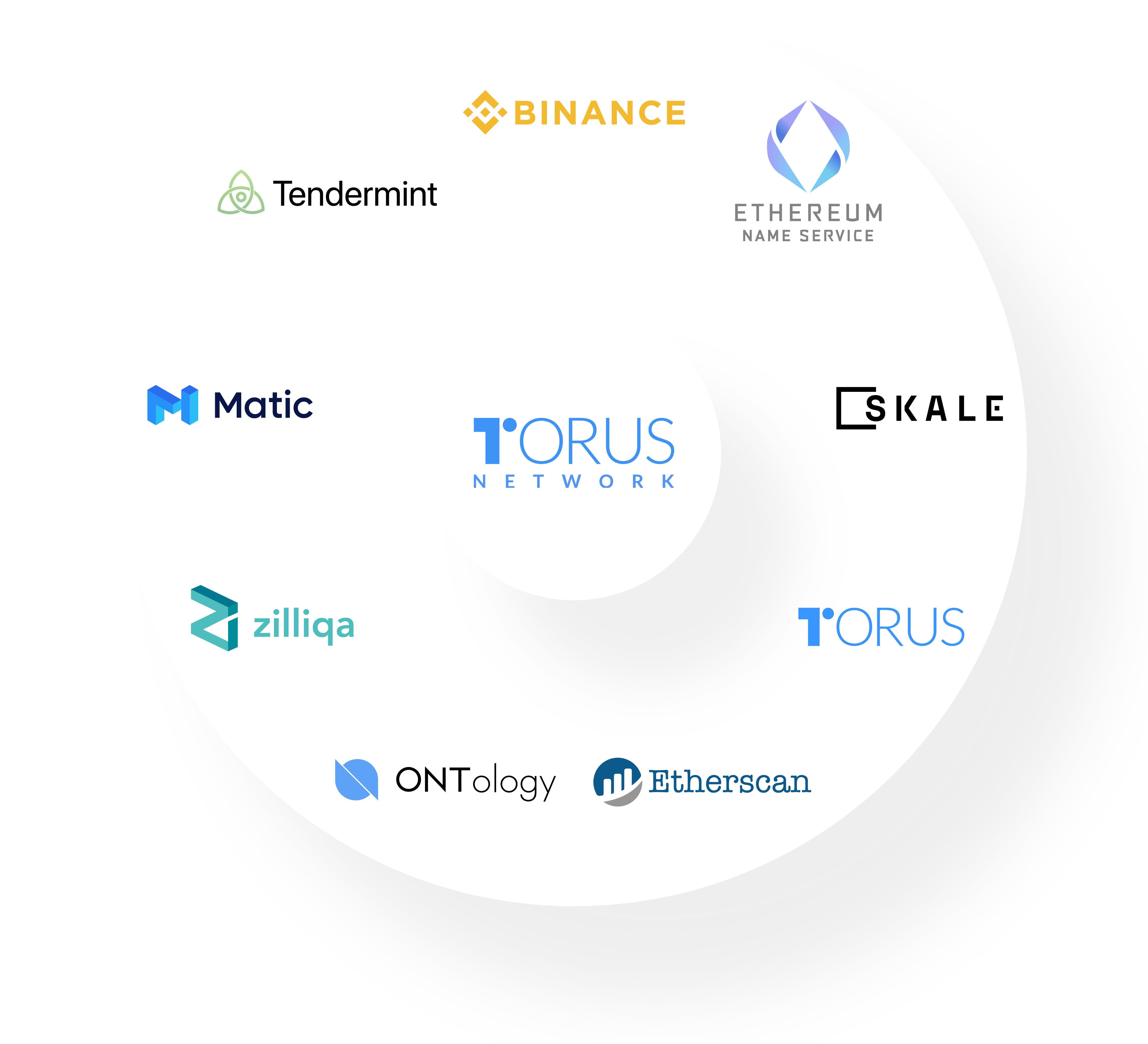 Torus-Network