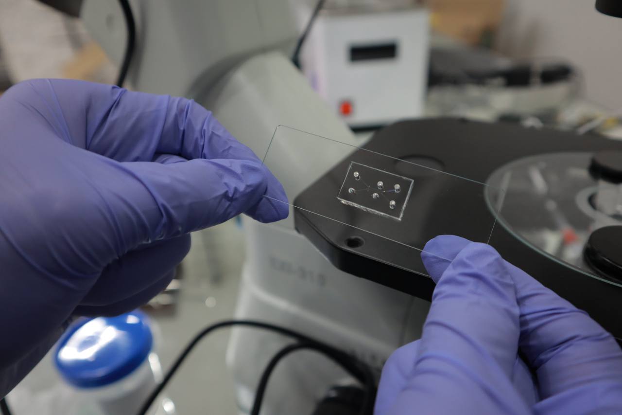 A small chip on transparent glass, held by someone wearing purple gloves.